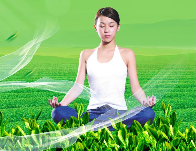 做假贝辛斯托克技术学院文凭毕业证